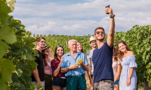 group of tourists take a selfie outdoor in the vineyard during a lesson about growing wine group of tourists take a selfie outdoor in the vineyard during a lesson about growing wine